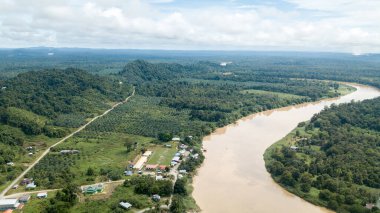 Borneo, Malezya 'da Kinabatangan nehri yakınlarındaki küçük kasaba palmiye ağacı yağı (Elaeis guineensis) ve kauçuk veya Hevea brasiliensis ile çevrilidir.