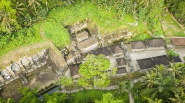 Ubud, Bali INDONEZYA 'daki güzel gunung kawi hindu tapınağı, palmiye ve pirinç tarlalarıyla çevrili. Taşlara heykeller oyulur.