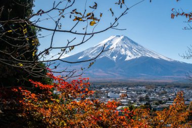 Japonya, Kawaguchiko 'daki Chureito Pagoda' dan Fuji Dağı 'nın kırmızı sonbahar yapraklarının manzarası.
