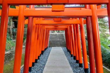 Japonya 'nın Nagasaki kentindeki Suwa Shinto Tapınağı' nda kırmızı Torii Gates sırası..