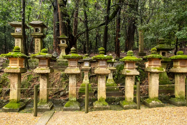 Fila Antigas Lanternas Pedra Japonesas Tradicionais Cobertas Com Musgo Vívido — Fotografia de Stock