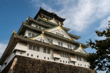 Yeşil geleneksel çatıları ve altın aşermeleri olan Osaka Şatosu görkemli ana kulesi, arka planda mavi gökyüzü ve ağaçlar, sonbahar, Japonya.