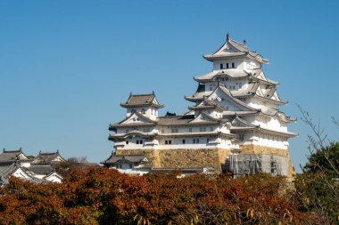 Japonya 'nın Himeji şehrinde, kırmızı ve oragne sonbahar ağaçları ve mavi gökyüzü olan bir tepedeki beyaz, uzaysal Himeji Şatosu manzarası.