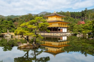 Altın Köşk Tapınağı (Kinkaku-ji) - Kyoto 'da Japon gezici bahçesinde bir Budist tapınağı, gölet manzarası, gölette tapınağın yansıması ve çevresindeki güzel yeşil park. 