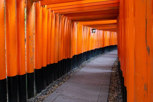 Famoso Tunnel Rosso Porte Legno Torii Fushimi Inari Taisha Sacrario — Foto Stock