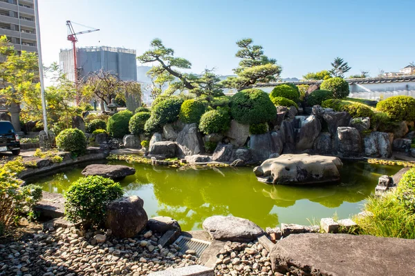 Nagasaki Japan 长崎福井寺旁边的一个绿色小池塘 里面有绿水和传统的日本园林树和植物 — 图库照片
