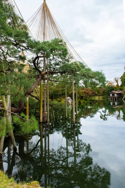 金泽的云雾翠绿的日本园林景观 独特的建筑支撑着树木 美丽的倒影映衬在池塘中 日本三大花园之一 — 图库照片