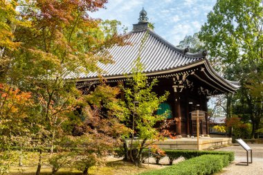 Chashitsu, çay odası, çay seremonisi için tasarlanmış mimari alan, yontulmuş ahşap çatılı, Kyoto, Japonya 'daki Ninna-ji kompleksindeki renkli sonbahar akçaağaç ağaçları arasında.