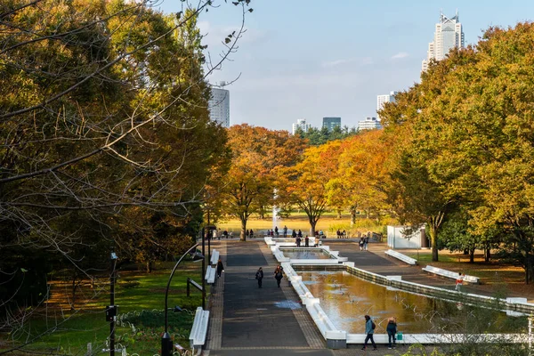 Tokyo, Japonya. Tokyo 'daki Yoyogi Parkı' nın sonbahar manzarası, renkli sonbahar ağaçları, gölet, yürüyen insanlar ve arka planda Tokyo silueti, güneşli bir gün..
