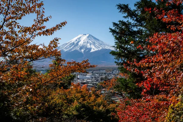 在日本川崎子村的山上 从楚里托塔的红叶俯瞰富士山 — 图库照片