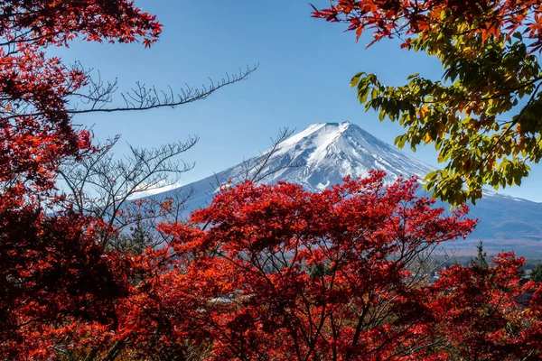 从日本竹里洞塔的红叶可以清楚地看到富士山 水晶般的蓝天 — 图库照片