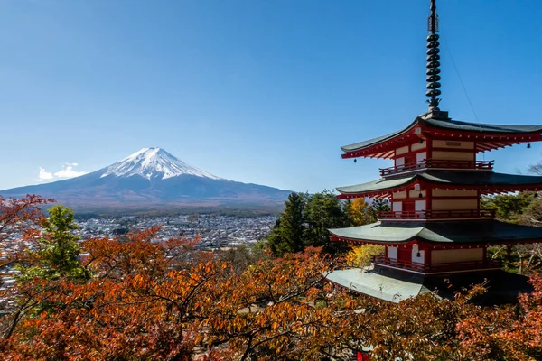 日本富士山的著名秋景和右边有五彩缤纷枫叶的红塔 — 图库照片