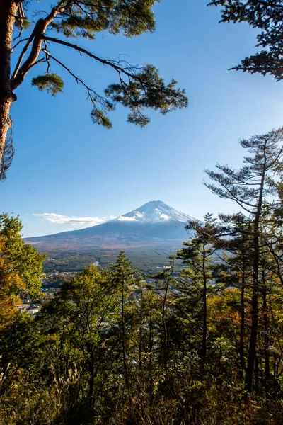 从日本秋日川崎路小径看富士山 下午从树上眺望未来的树木 — 图库照片
