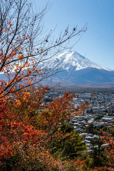 从日本楚里托宝塔看富士山五彩缤纷的秋叶和干枯的树枝之间的垂直画图 — 图库照片