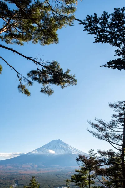 富士山从川口山路小径到富士山的肖像画 在一个树框的枝条下 是一幅低地平线的图画 — 图库照片
