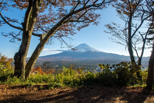 秋日黄昏前 通过五彩缤纷的秋树和青草 从日本川口小径俯瞰富士山 — 图库照片