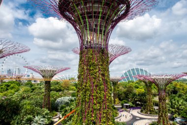Singapur, 22 / 01 / 19. Supertree Grove ağaç gövdesinin ışıklandırma tesisatı ve aşırı gelişmiş bitkilerle yakın görüntüsü. Arka planda Çiçek Kubbesi ve Süperağaç Korusu olan körfez parkındaki bahçeler..