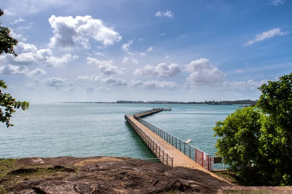 Chek Jawa Broadwalk Jetty, Mangrove ormanlarındaki ahşap platform Pulau Ubin Adası, Singapur 'a bakan sulak alanlar..