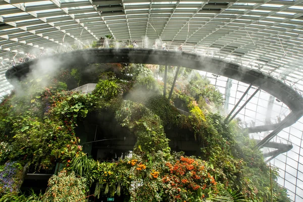 Singapur Cloud Forest Conservatory Gardens Bay Singapur Con Una Montaña — Foto de Stock