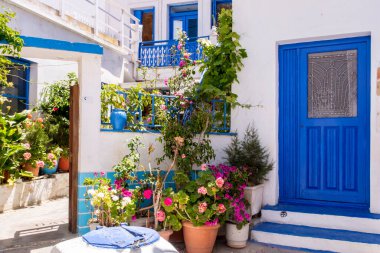 Milos Adası 'ndaki Plaka Kasabası - geleneksel Yunan beyazlatılmış duvarları, mavi kapıları, pencere kapakları ve çiçek açan renkli çiçekleri olan resim gibi dar taş cadde, Yunanistan.