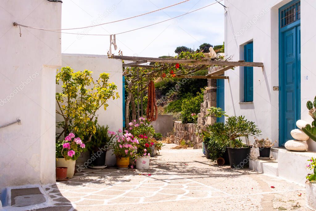 Plaka Town on Milos Island - picturesque narrow stone street with traditional greek whitewashed walls, blue doors, window shuttes and blooming colorful flowers, Greece.