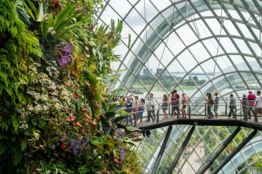 Singapur, 22 / 01 / 19. Bulut Ormanı, Körfez kenarındaki Bahçelerdeki Serin Nemli Konservatuar, Tropik dağların etrafında çeşitli bitki örtüleriyle Bulut Yürüyüşü platformları. Yürüme yolundaki insanlar.