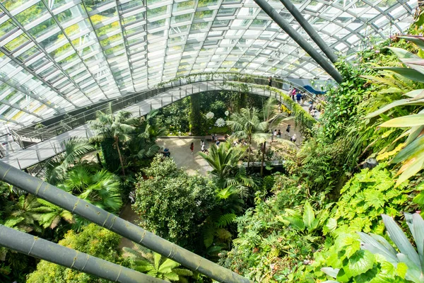 Singapur Bosque Nuboso Conservatorio Cool Moist Jardines Junto Bahía Las — Foto de Stock