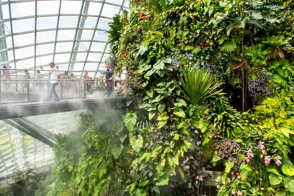 Singapur Bosque Nuboso Cool Moist Conservatory Gardens Bay Cloud Walk — Foto de Stock