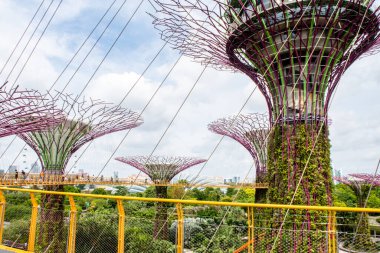 Singapur, 22 / 01 / 19. OCBC Skyway hava yolu. Körfez kenarındaki Gardens 'taki Supertree Grove Yapay Ağaç Yapılarının arasında. Süperağaç Korusu manzarası..