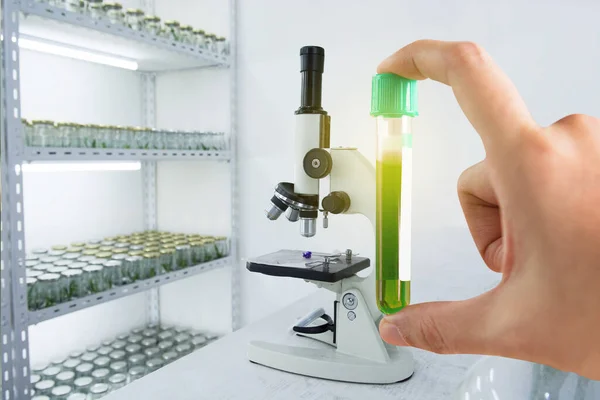 Research Herbal Medicine Lab Test Pharmaceutical Shaker Plant Growth Experiments — Stock Photo, Image