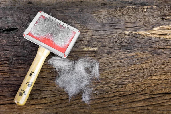 Hair Cat Dog Brush Wooden Background — Stock Photo, Image