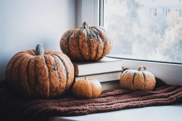 Cozy autumn still life. Books, Pumpkins and Cup of hot coffee on windowsill with knitted Scarf. Hello Autumn and Happy Thanksgiving.