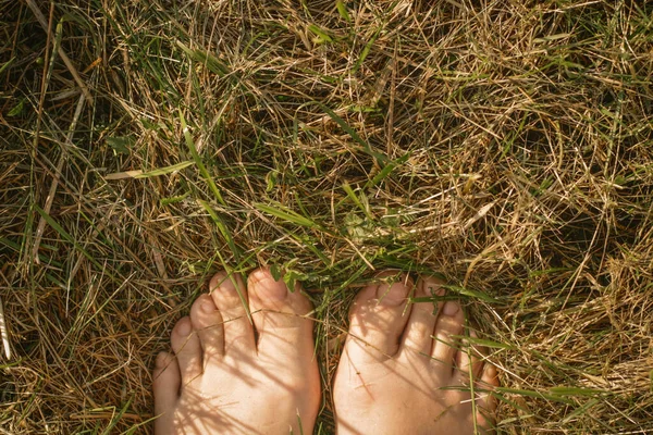 Women\'s feet on dry grass close-up. Hay. Feet of a Russian village girl on the grass. Rustic concept.