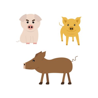 üç renk domuz beyaz arka plan üzerinde ayarla