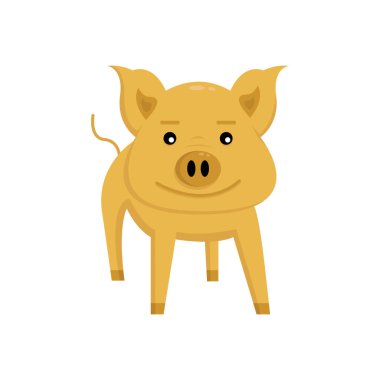 turuncu domuz gülümsüyor ve beyaz arka plan üzerinde duruyor