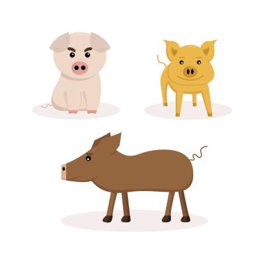 beyaz zemin üzerinde üç domuz kümesi