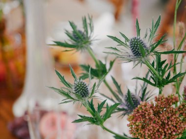 Çiçek yakın bir restoranda