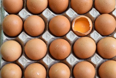 Yumurtalar karton destekte yatıyor, bir tanesi kırılmış, ayrıca parlak sarısı da görünür durumda.