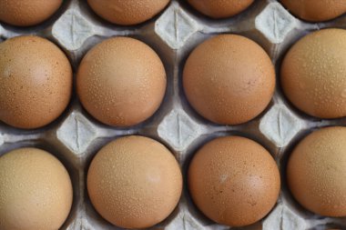 Yumurtalar karton desteğe, kağıt tepsi de yumurta desteğine.