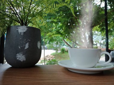 Beyaz bir fincanda kapuçino ve kahve dükkanındaki ahşap bir masada seramik bir tencerede eğreltiotu bırakılması.