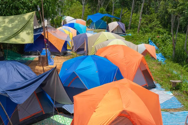 Many Tents Tourists Put Together Campsite — Stock Photo, Image