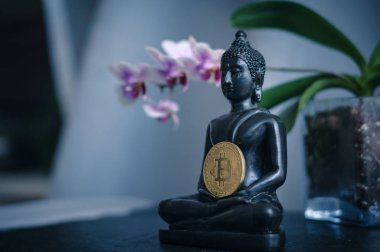 bitcoin orkide arka plan üzerinde olan Buda'nın rakam