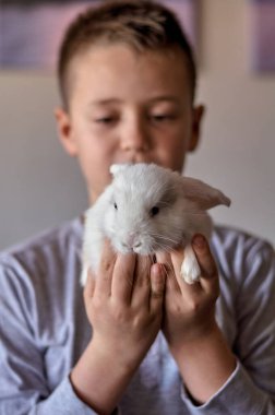 Elinde beyaz bir tavşan olan bir çocuk.