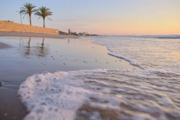 Bella Alba Una Spiaggia Sabbiosa Con Due Palme Nella Cornice — Foto Stock