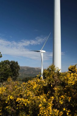 Mavi gökyüzüne karşı bir ormanın yeşiliyle çevrili bir rüzgar türbini.