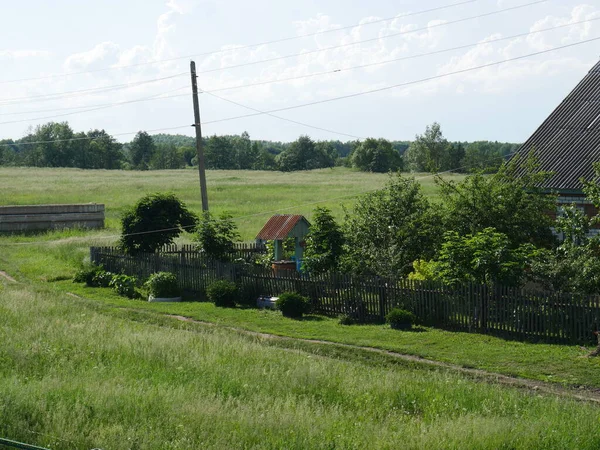 Der Dorfbrunnen Und Das Gras — Stockfoto