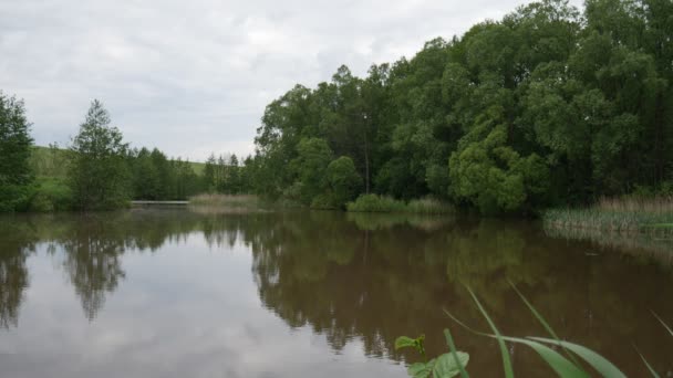 lac et paysage forestier