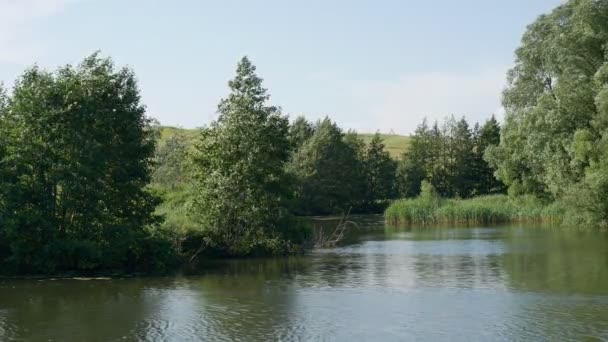 la rivière coule près des arbres