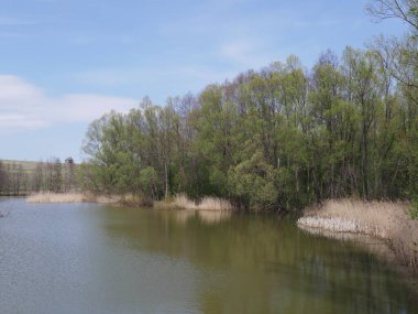 Kırsal alanda mavi gökyüzü ve nehir