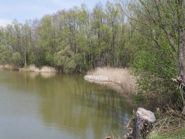 Bulutlu havada bahar nehri. Yeşil çimen